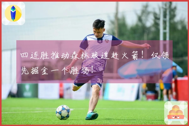 四连胜推动森林狼追赶火箭！仅领先掘金一个胜场！