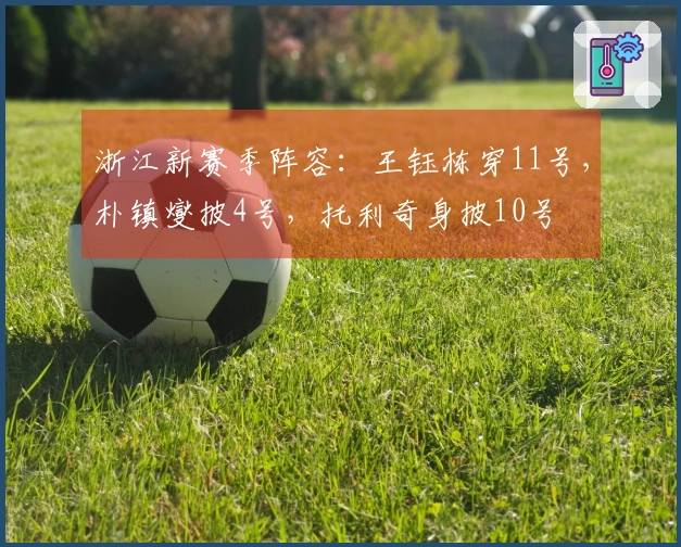 浙江新赛季阵容：王钰栋穿11号，朴镇燮披4号，托利奇身披10号